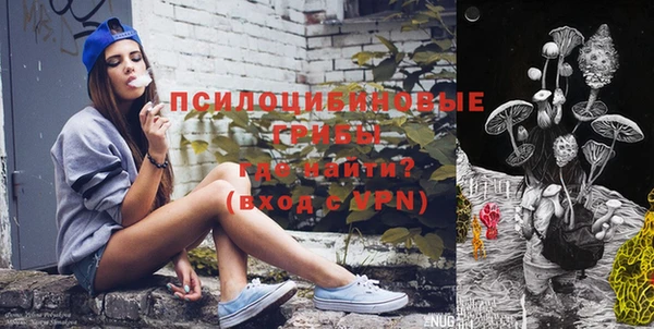 дживик Корсаков
