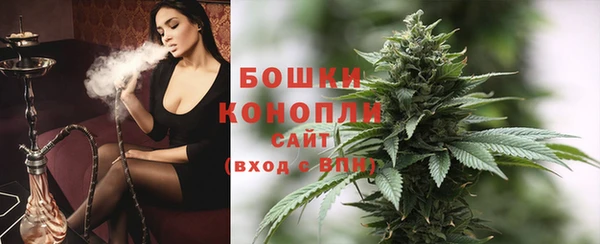 молекула духа Коряжма