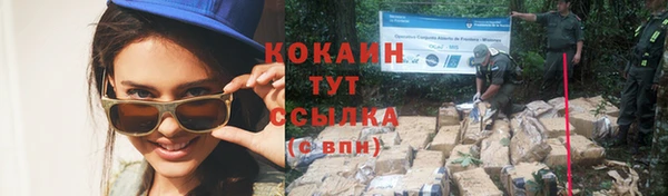 дживик Корсаков