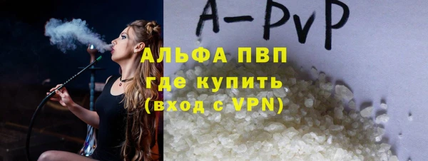 дживик Корсаков