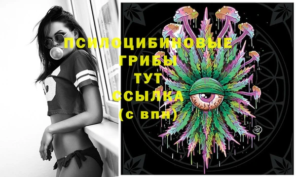 дживик Корсаков