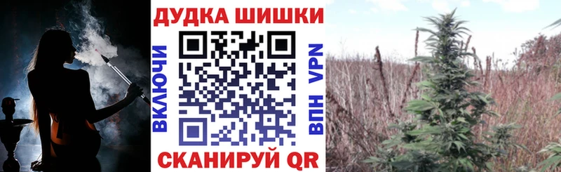 Марихуана план  Купить закладки  Пустошка 